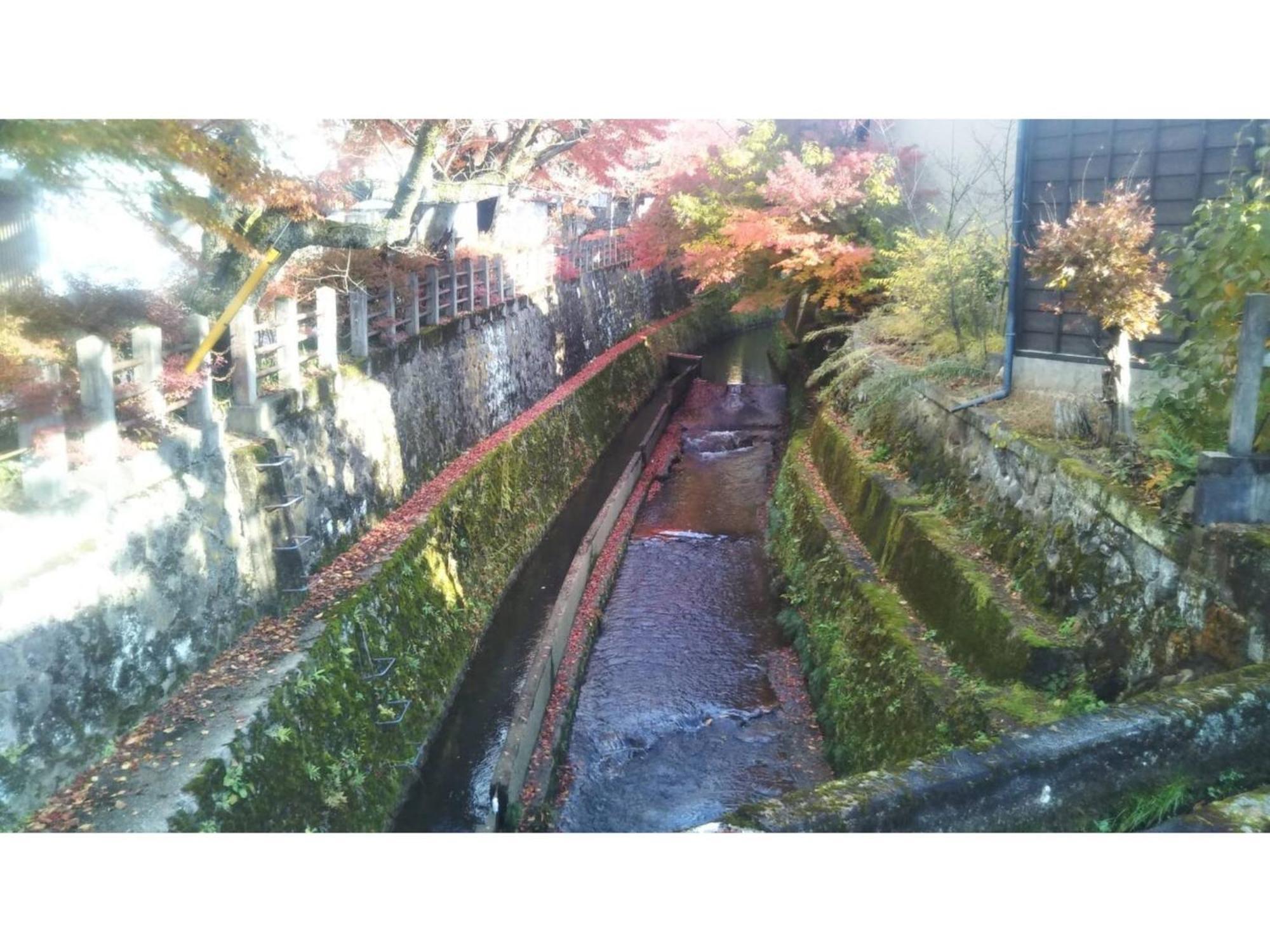 Tomareru Sento Taka No Yu - Vacation Stay 00567V Takayama  Ngoại thất bức ảnh